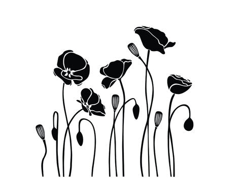 Popular Street Names