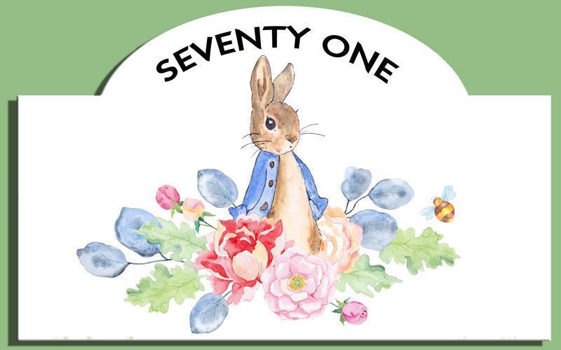 Peter Rabbit Designer Bridge House Number Plaque ~ Aluminium - Uk House signs - Office signs - House Sign